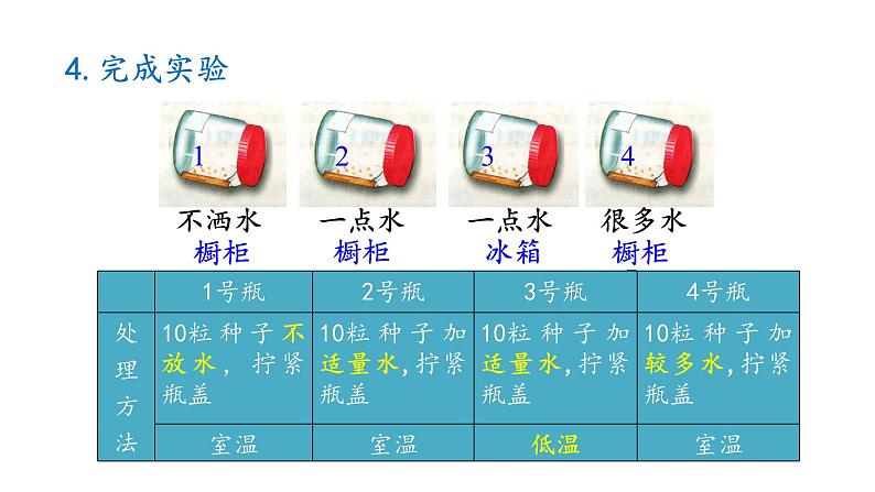 冀少版八年级生物上册课件 3.1.2  种子萌发的条件07