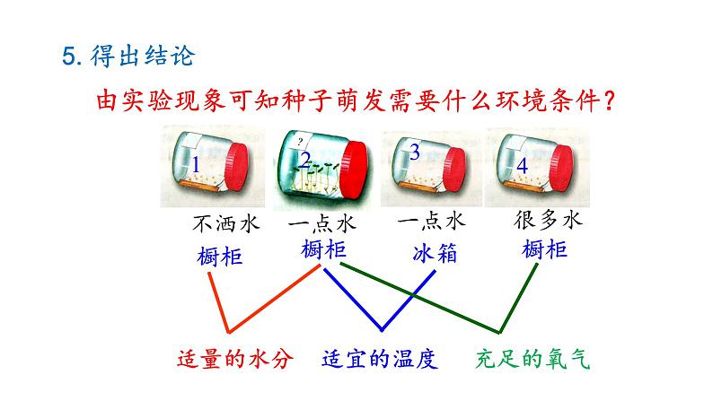 冀少版八年级生物上册课件 3.1.2  种子萌发的条件08