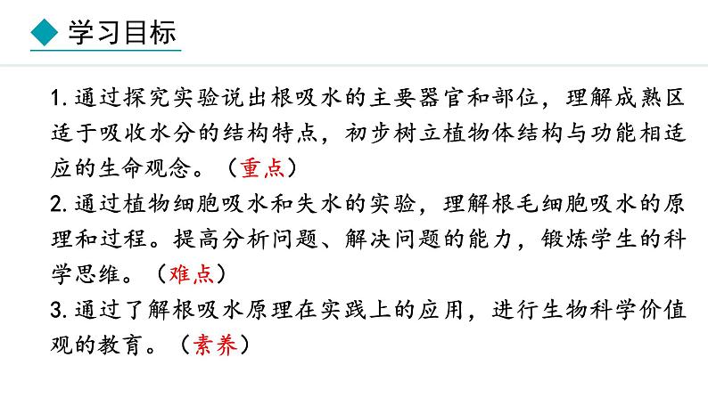 冀少版八年级生物上册课件 3.2.2  根对水分的吸收02