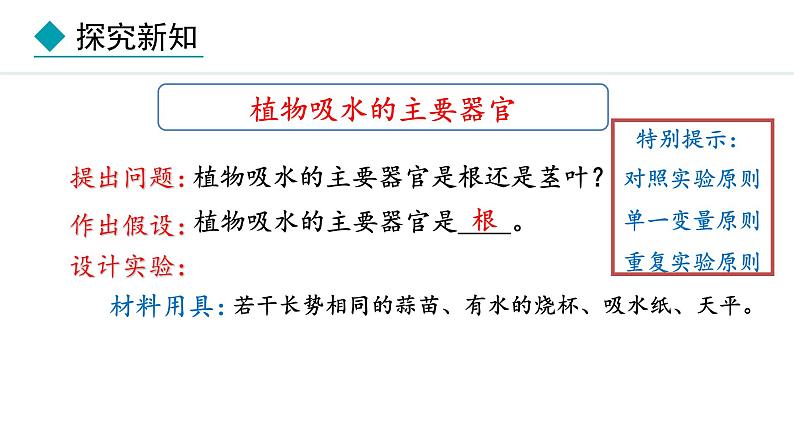 冀少版八年级生物上册课件 3.2.2  根对水分的吸收04