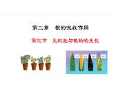 冀少版八年级生物上册课件 3.2.3  无机盐与植物的生长