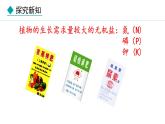 冀少版八年级生物上册课件 3.2.3  无机盐与植物的生长