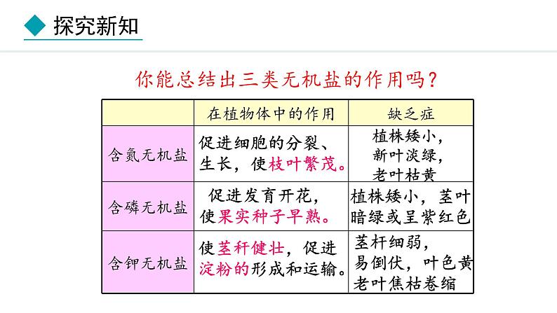 冀少版八年级生物上册课件 3.2.3  无机盐与植物的生长08