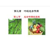 冀少版八年级生物上册课件 3.3.2  光合作用的原料
