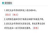 冀少版八年级生物上册课件 3.3.2  光合作用的原料