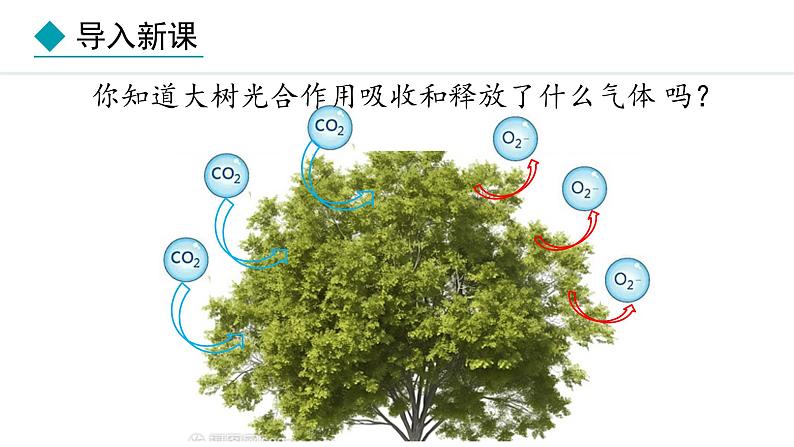 冀少版八年级生物上册课件 3.3.2  光合作用的原料第3页