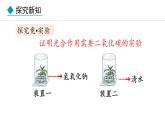 冀少版八年级生物上册课件 3.3.2  光合作用的原料