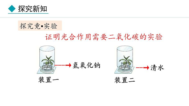 冀少版八年级生物上册课件 3.3.2  光合作用的原料第4页