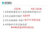 冀少版八年级生物上册课件 3.3.2  光合作用的原料