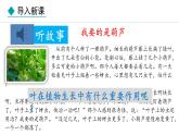 冀少版八年级生物上册课件 3.3.3  光合作用的场所