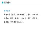 冀少版八年级生物上册课件 3.3.3  光合作用的场所