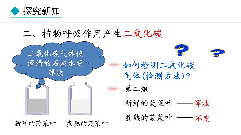 冀少版八年级生物上册课件 3.4.1  呼吸作用05