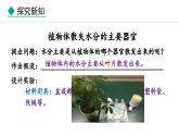 冀少版八年级生物上册课件 3.4.2  蒸腾作用