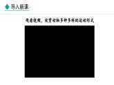 冀少版八年级生物上册课件 4.1.1  运动的基础