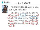 冀少版八年级生物上册课件 4.2.1  动物行为的特点