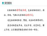 冀少版八年级生物上册课件 4.2.1  动物行为的特点