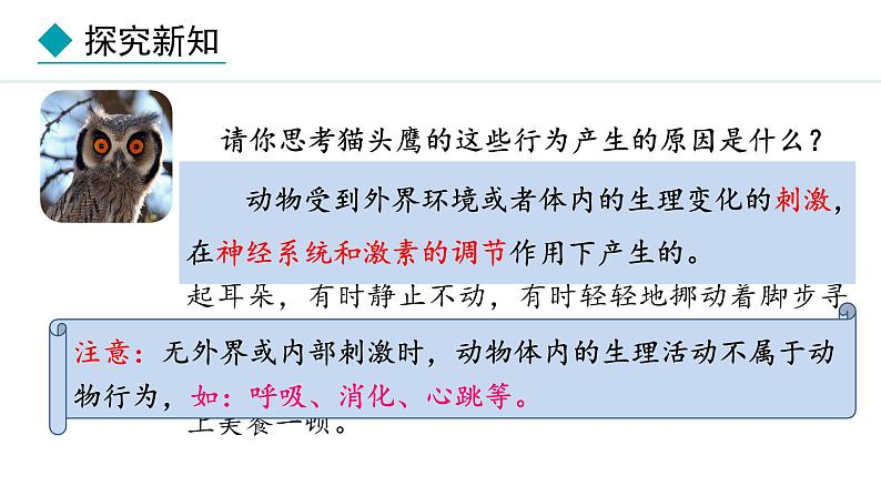 冀少版八年级生物上册课件 4.2.1  动物行为的特点06