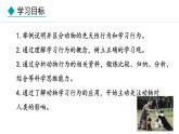 冀少版八年级生物上册课件 4.2.3  先天性行为和学习行为