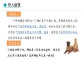 冀少版八年级生物上册课件 4.2.3  先天性行为和学习行为