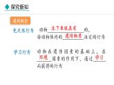 冀少版八年级生物上册课件 4.2.3  先天性行为和学习行为