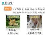 冀少版八年级生物上册课件 4.2.3  先天性行为和学习行为