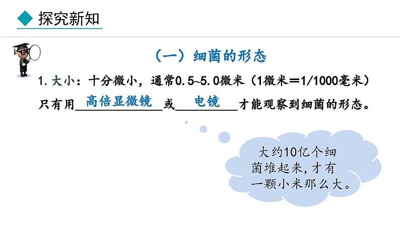 冀少版八年级生物上册课件 5.1.1  细菌05