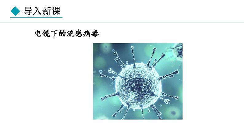 冀少版八年级生物上册课件 5.1.2  病毒04