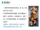 冀少版八年级生物上册课件 5.2.2  食用真菌