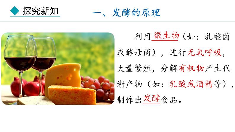 冀少版八年级生物上册课件 5.3.1  发酵食品的制作04
