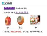 冀少版八年级生物上册课件 5.3.2  食品保存技术