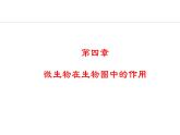 冀少版八年级生物上册课件 5.4  微生物在生物圈中的作用