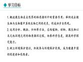 冀少版八年级生物上册课件 5.4  微生物在生物圈中的作用