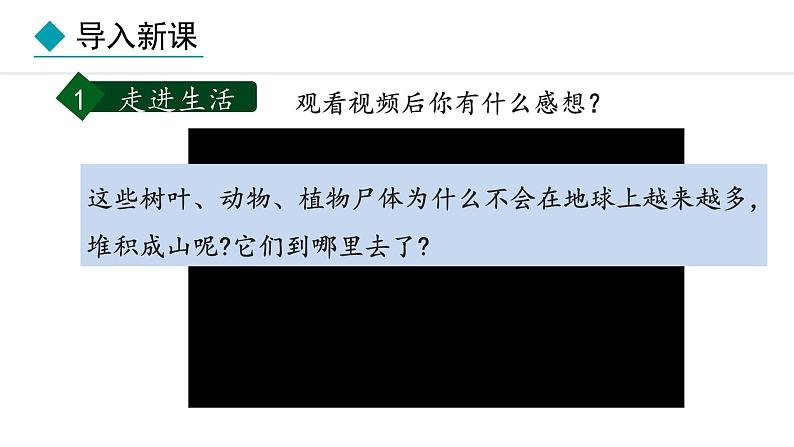 冀少版八年级生物上册课件 5.4  微生物在生物圈中的作用03