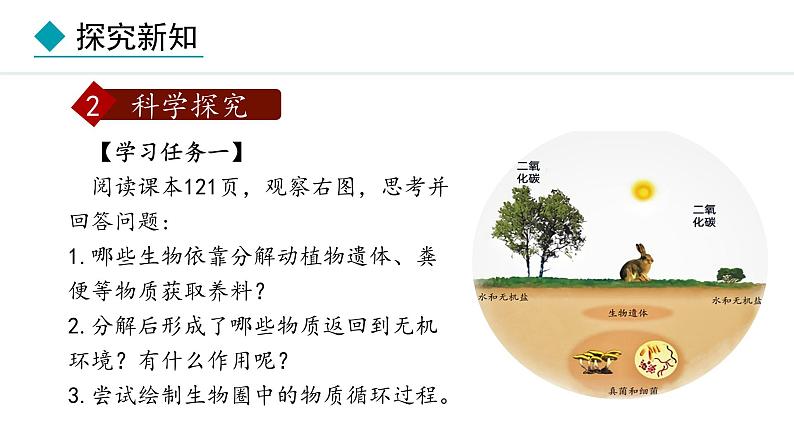 冀少版八年级生物上册课件 5.4  微生物在生物圈中的作用04