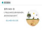冀少版八年级生物上册课件 5.4  微生物在生物圈中的作用
