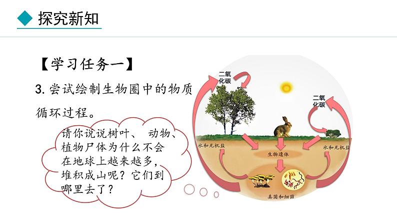 冀少版八年级生物上册课件 5.4  微生物在生物圈中的作用07