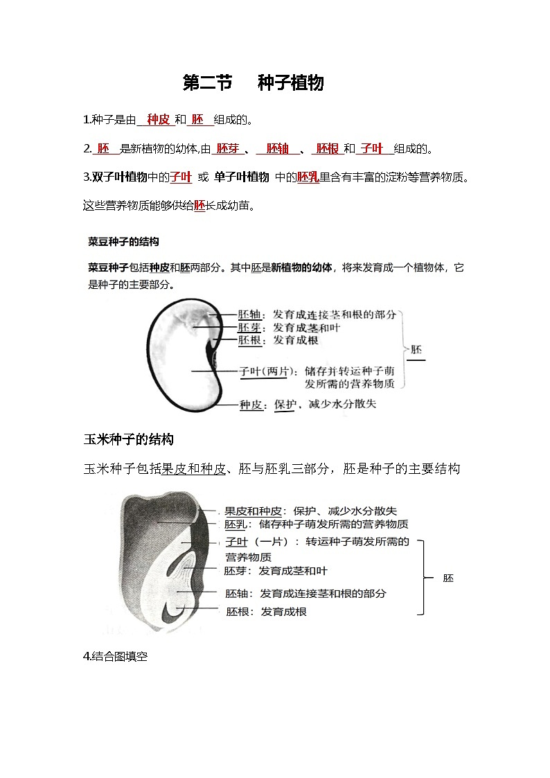 人教版初中生物7上2.1植物的类群   知识梳理（学生版+教师版）03