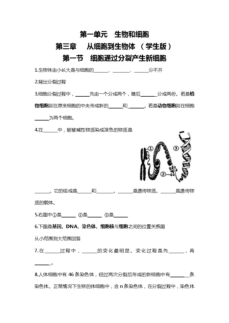 人教版初中生物7上1.3从细胞到生物体   知识梳理（学生版+教师版）01