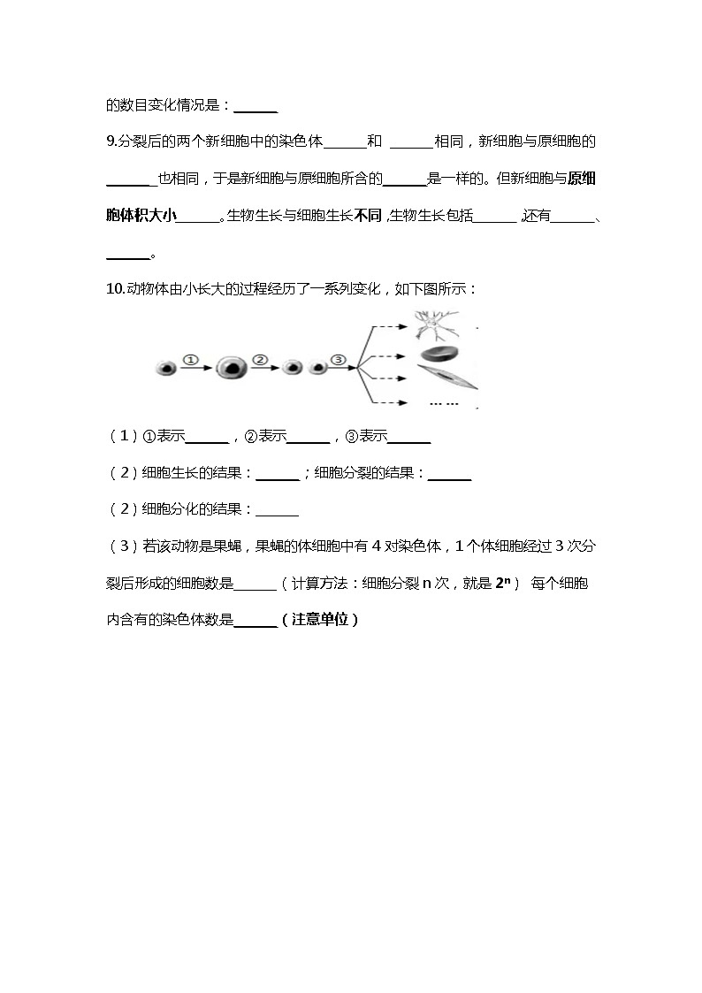人教版初中生物7上1.3从细胞到生物体   知识梳理（学生版+教师版）02