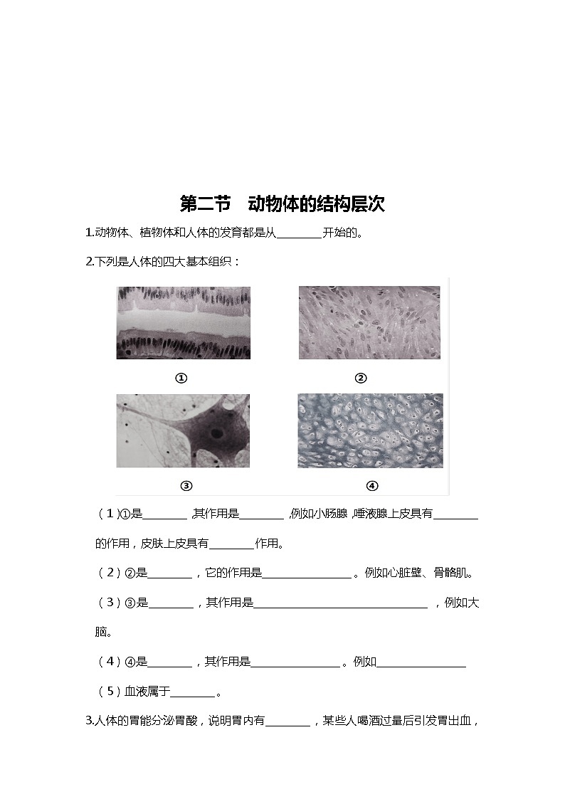 人教版初中生物7上1.3从细胞到生物体   知识梳理（学生版+教师版）03