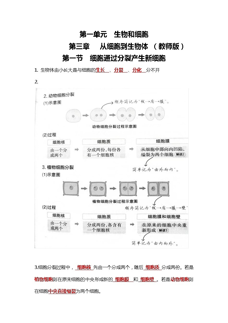人教版初中生物7上1.3从细胞到生物体   知识梳理（学生版+教师版）01