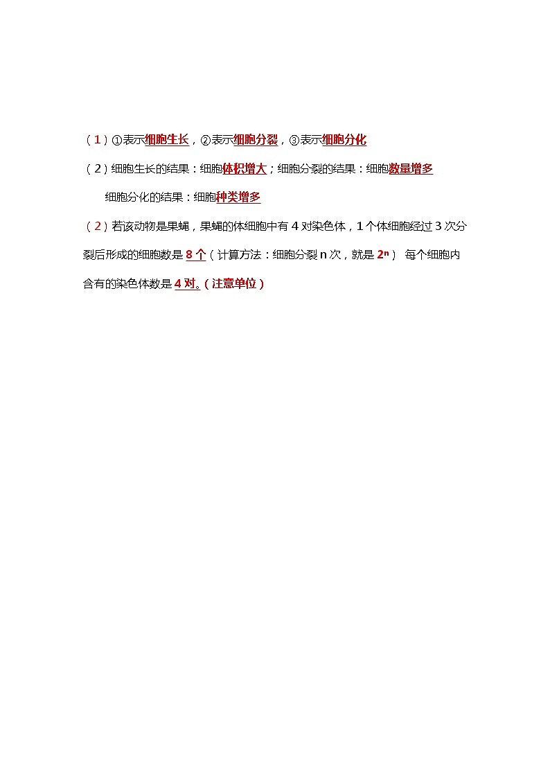 人教版初中生物7上1.3从细胞到生物体   知识梳理（学生版+教师版）03