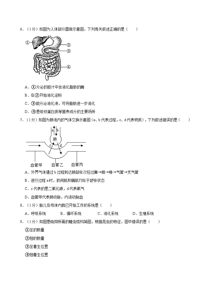 2024年山东省泰安市中考生物模拟试卷02