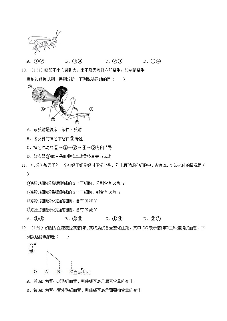 2024年山东省泰安市中考生物模拟试卷03