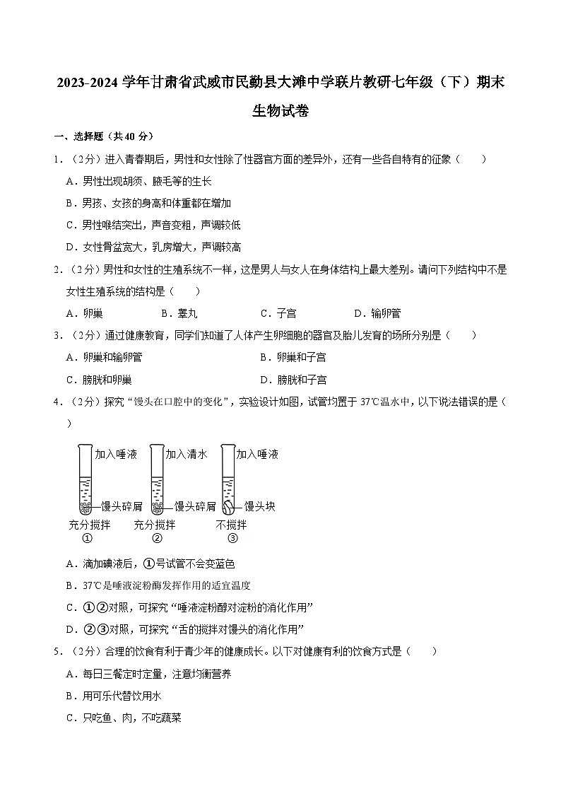 2023-2024学年甘肃省武威市民勤县大滩中学联片教研七年级（下）期末生物试卷01
