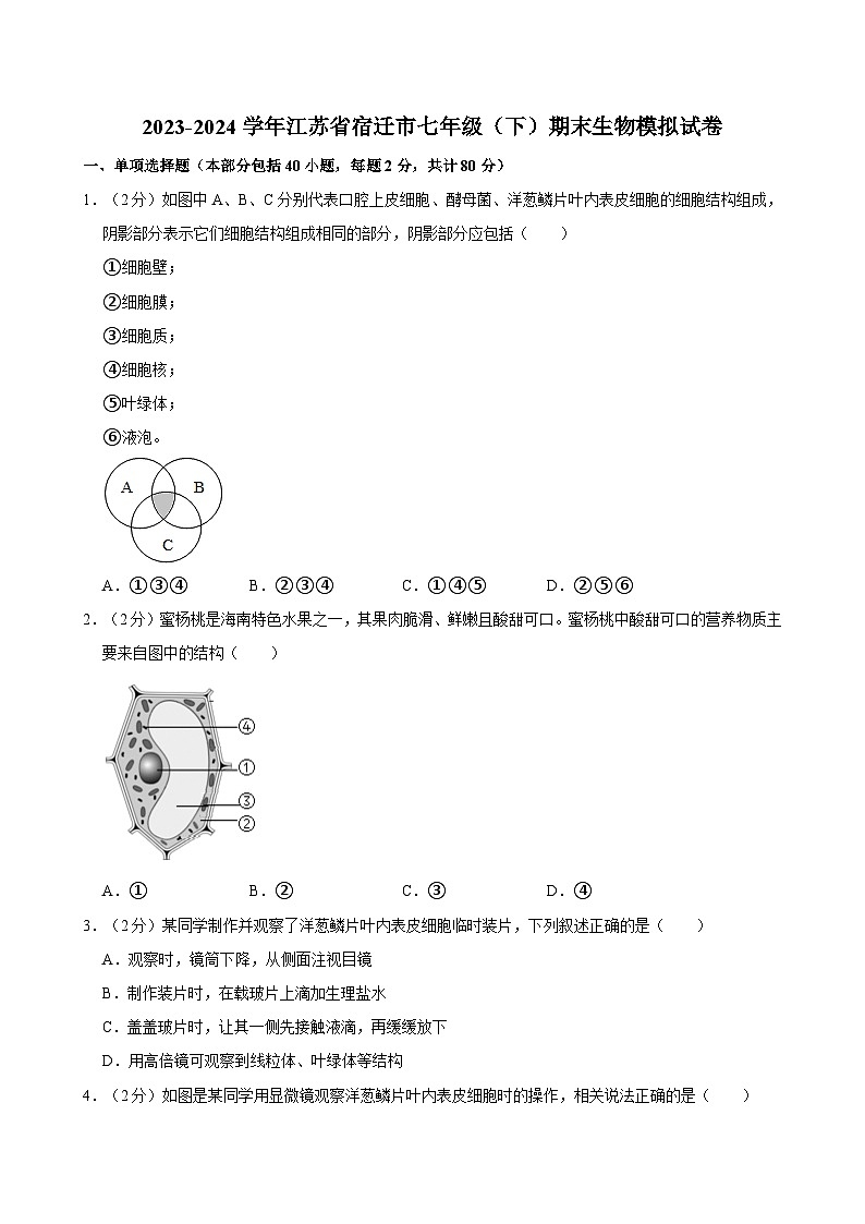 2023-2024学年江苏省宿迁市七年级（下）期末生物模拟试卷01