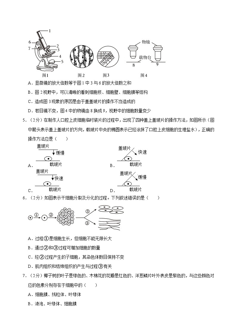 2023-2024学年江苏省宿迁市七年级（下）期末生物模拟试卷02