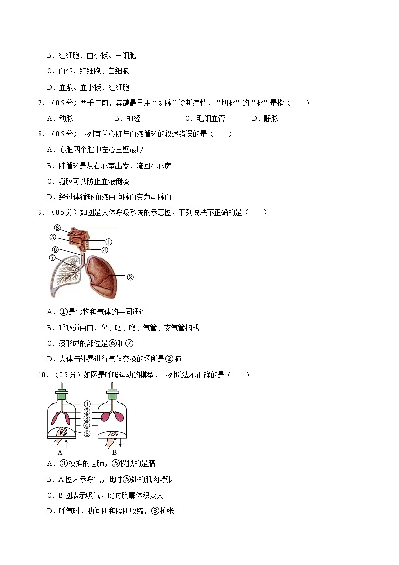 2023-2024学年甘肃省兰州市三十五中等校联考七年级（下）期末生物试卷02