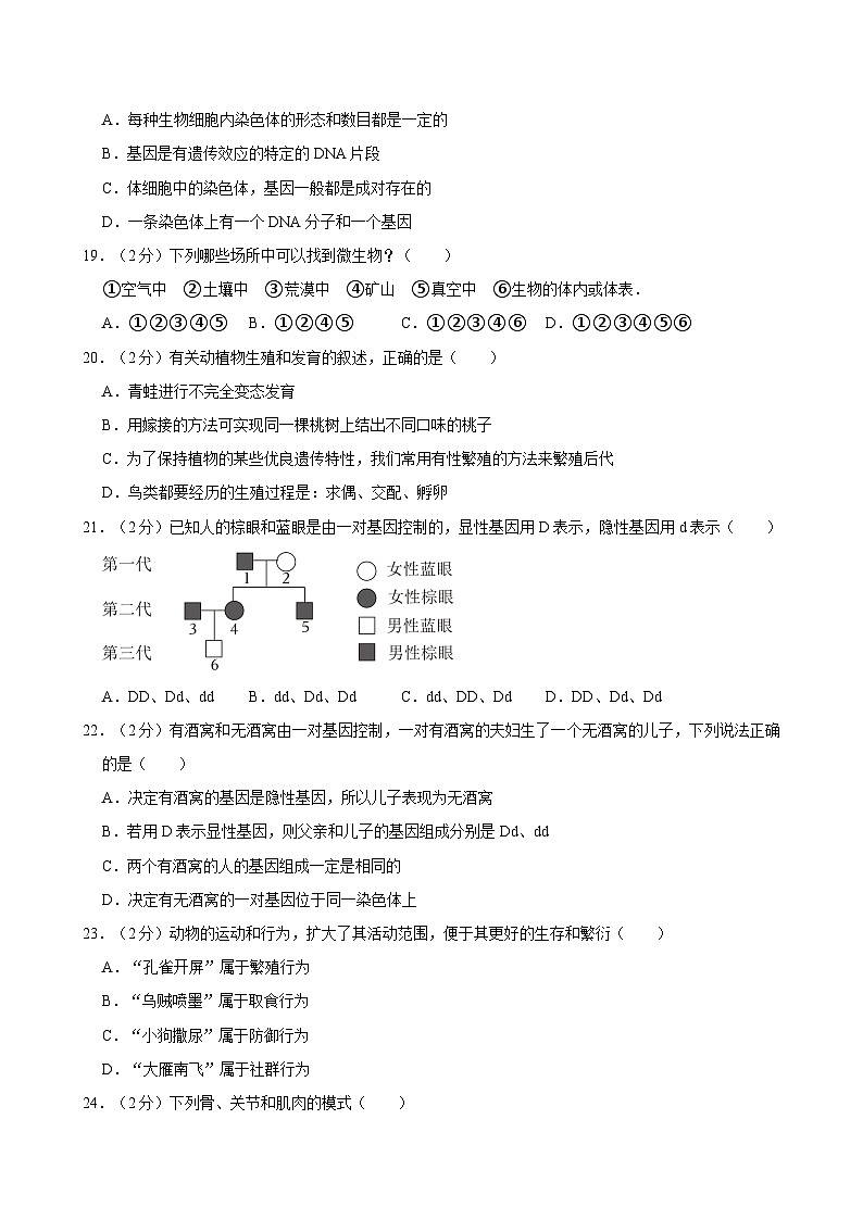 2023-2024学年四川省泸州市泸县五中八年级（下）期末生物试卷第3页
