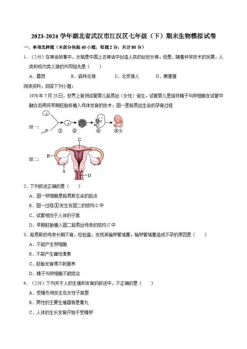 2023-2024学年湖北省武汉市江汉区七年级（下）期末生物模拟试卷第1页